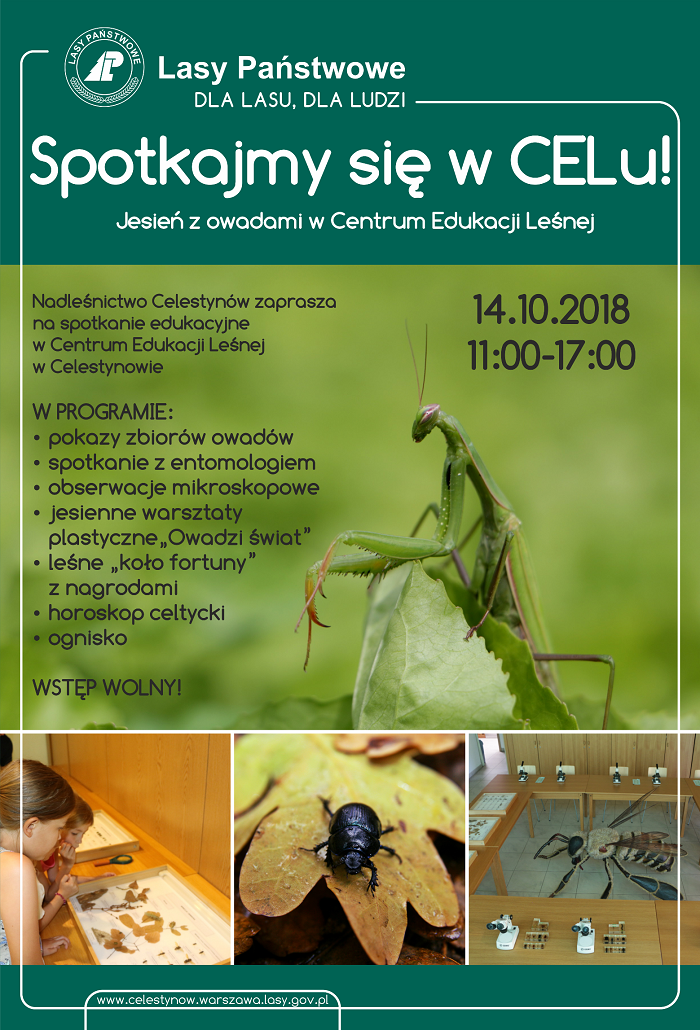 plakat jesień z owadami w CEL.png